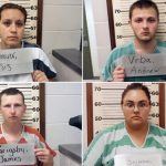 Schauer Vrba Grigsby Calderas