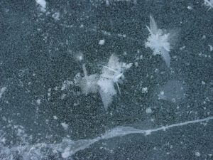 Possible Severe Weather is Coming Our Way, Are You Ready?