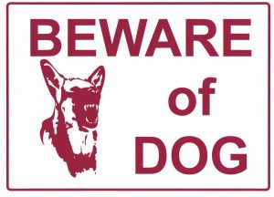 beware-of-dog