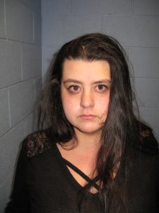 Two arrested after fleeing from police