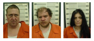 Another Major Drug Bust in Cherokee County