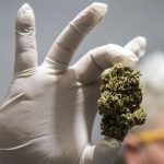 marijuana, pot, drugs