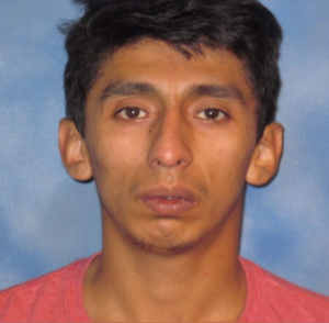 Man will stand trial for fatal Newton County crash