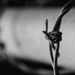 barbed wire