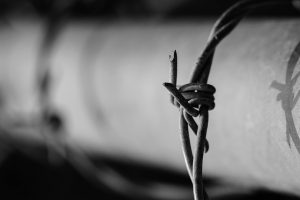 barbed wire