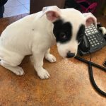 55489189 403770596846361 6571696534390308864 n