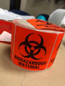 What happens if a epidemic strikes the 4-states