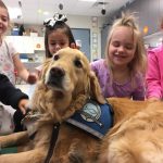 Jackson, Comfort Dog, Immanuel Lutheran, Martin Luther School, Joplin