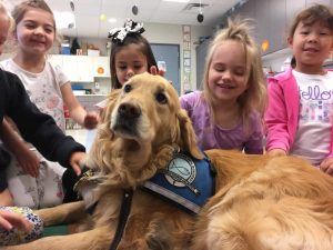 Jackson, Comfort Dog, Immanuel Lutheran, Martin Luther School, Joplin