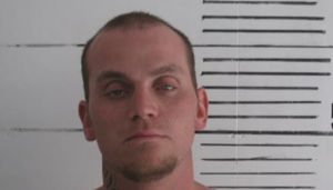 Man arrested in possession of stolen truck, stolen mail