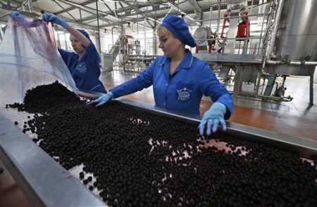 Frozen raspberries could make you sick