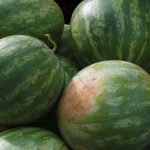 watermelon