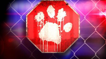 Two dogs have been shot in Parsons, Kansas in separate incidents