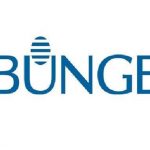 Bunge