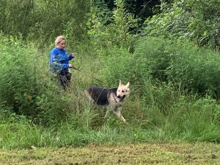 Sarah Burton, search, Newstalk KZRG