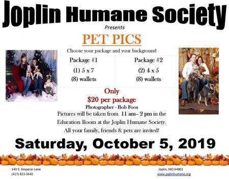 Holiday Photos At The Joplin Humane Society