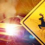 Deer crash