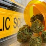 Medical marijuana in school