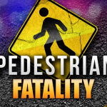 Pedestrian+Fatality