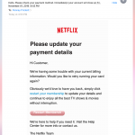 Netflix scam