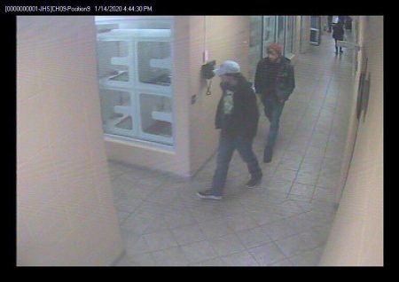 Humane Society dog thieves caught, but Lilly is still missing