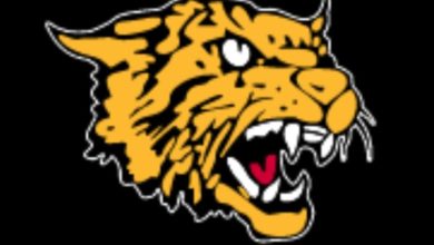 Photo of Diamond High School going virtual