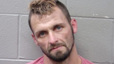 Photo of Fugitive arrested after vehicle thefts