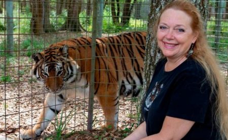 Dancing with stars includes singers, actors, sports figures and a “Tiger King”