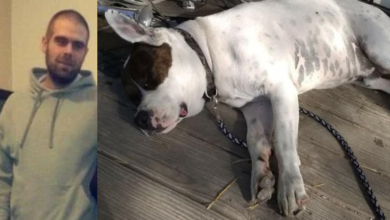 Photo of Missing from Joplin