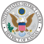 Magistrate releases Proud Boy leader on bond