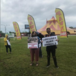 Tarzan Zerbini Circus draws adults, children and protesters