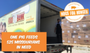 Help feed hungry Missourians through ‘Hogs for Hunger’