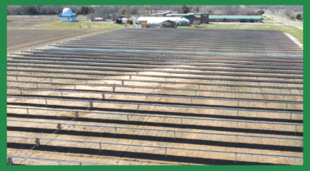 “Flip the Switch” event celebrates solar farms