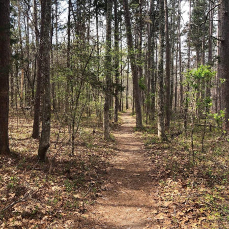 Poplar Bluff Trails Coalition to host volunteer workday June 5