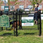 07 07 21 dog park picture 20210707