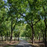 Alex zakharchenko oNN8gmnrJGI unsplash