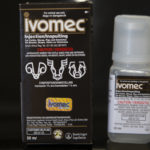 Ivermectin