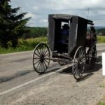 Amish Buggy