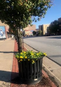 Joplin South Middle School students help plant flowers downtown