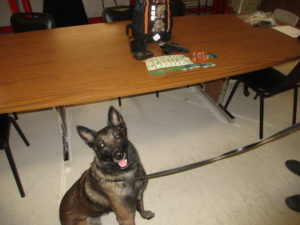 Man from Parsons, KS arrested after sniff test leads to drugs discovery