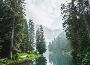 Mark Twain National Forest gives safety tips for deer season