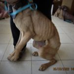 Midus moments after rescue