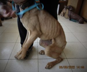 Midus moments after rescue