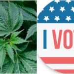 Weed Vote