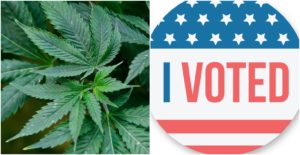 Weed Vote