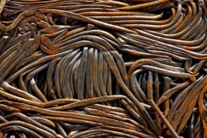 Ballerina statue cut down in Tulsa, sold for scrap metal