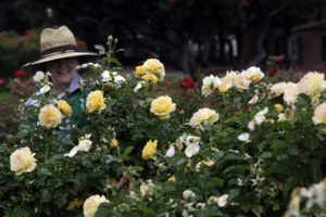 Community garden volunteer