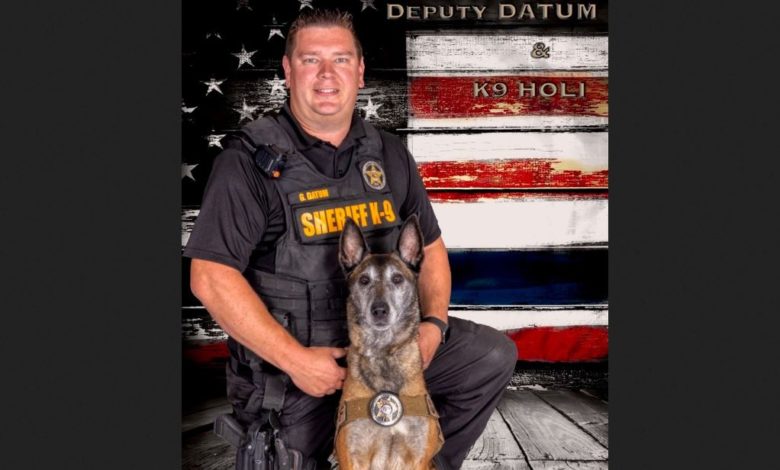 K9 Holi