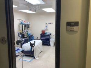 Missouri city signs bill to fund abortion travel assistance