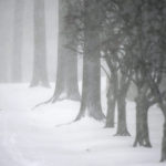 Winter Weather Missouri